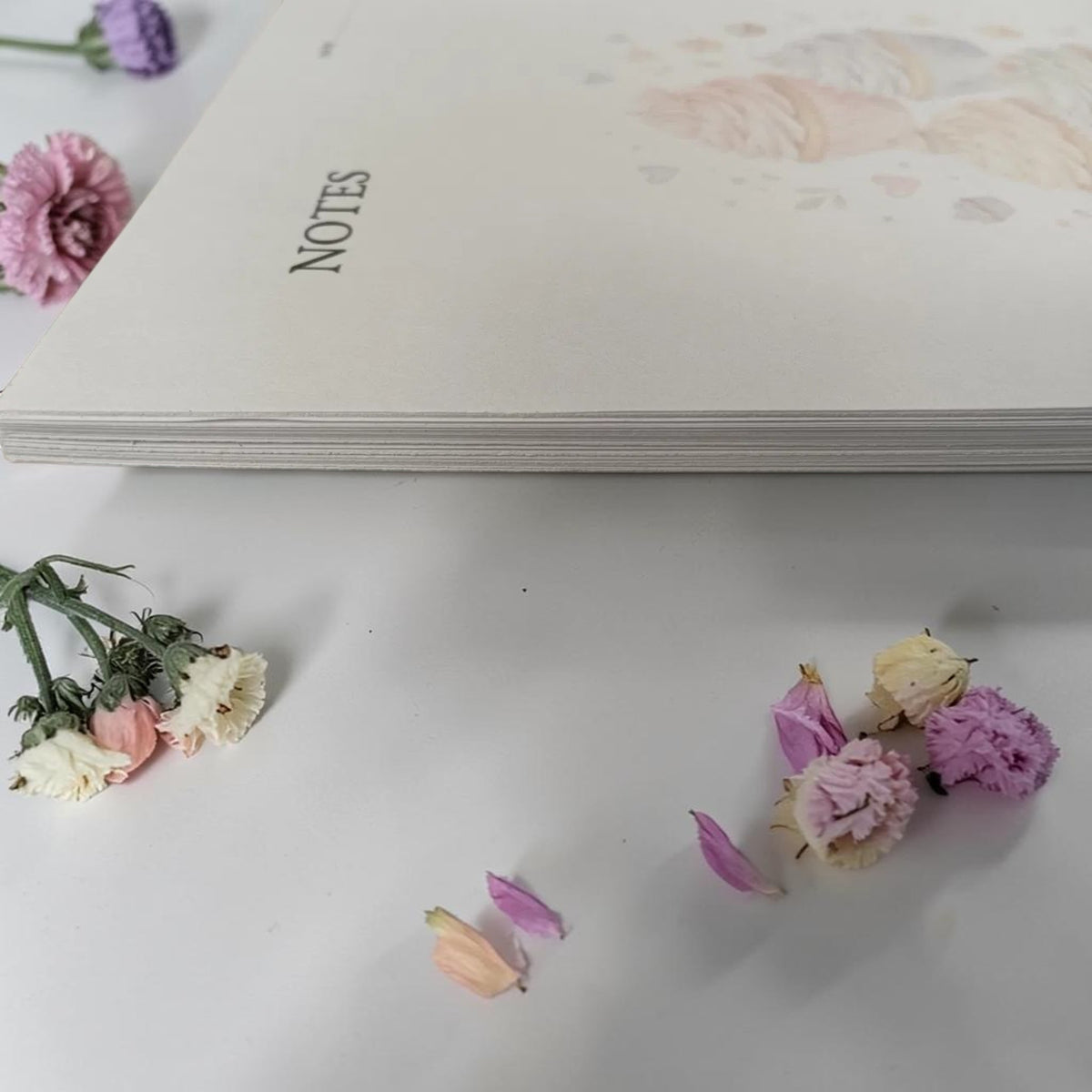 Notepad A6 — Notes — Cupcake